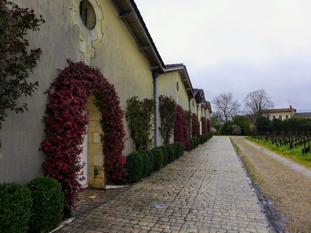 Clos-des-Jacobins-2