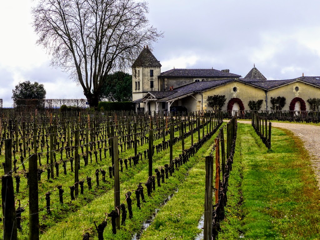 Vigneti-Clos-des-Jacobins
