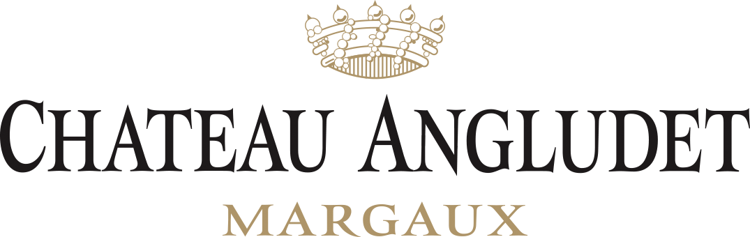 logo-angludet