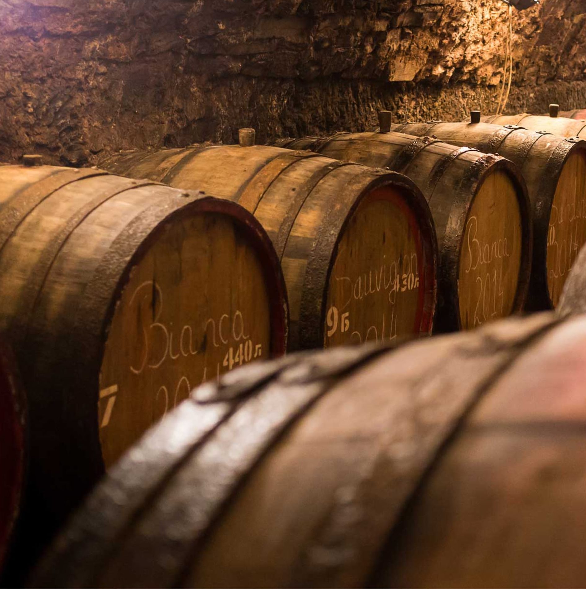 Rectangle-16-e1735892778724